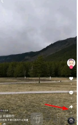 蘑菇视频免费观看视频分享功能入口