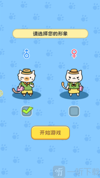 了不起的猫之国
