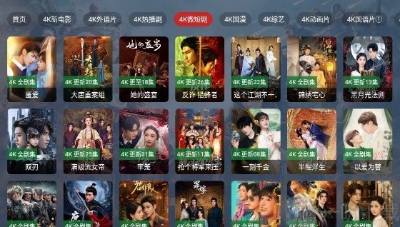 视界4K电视版热门剧集页面