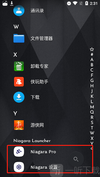 Niagara Launcher主题与Pro功能设置页面