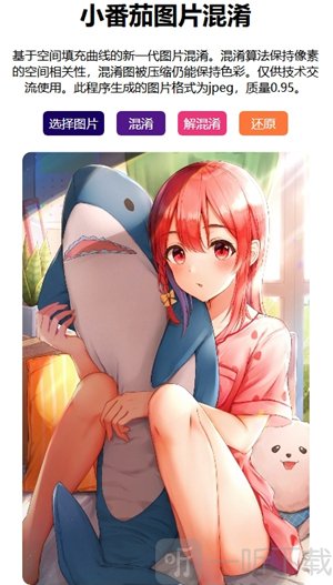 小番茄混淆