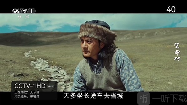 金马视界TV版首页界面