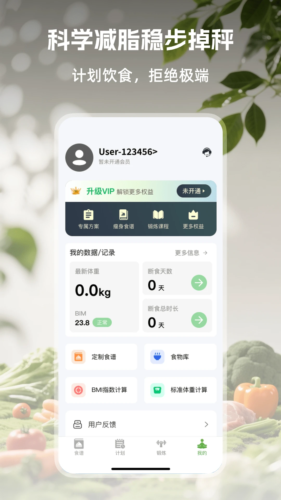 绿叶轻断食