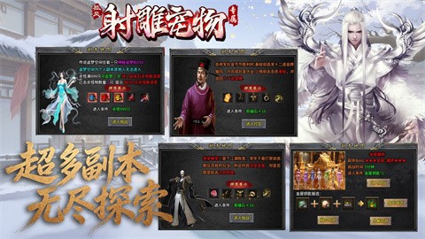 孤风射雕宠物专属