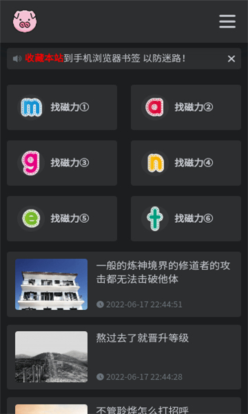 bt磁力猪搜索引擎