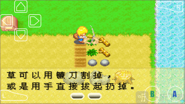 牧场物语女孩版种植攻略清除地面障碍物