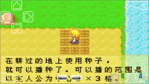 牧场物语女孩版种植攻略土地播种操作