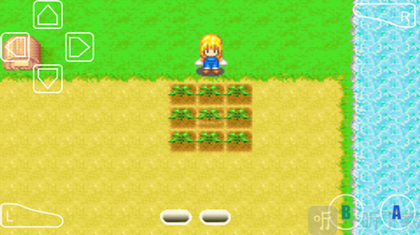 牧场物语女孩版种植攻略每天浇水促进发芽
