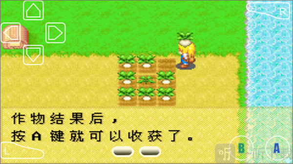 牧场物语女孩版种植攻略作物收获与出售