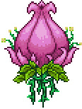 Terraria 1.4.5世纪之花召唤方法