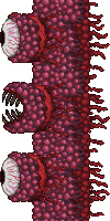 Terraria 1.4.5血肉之墙召唤方法