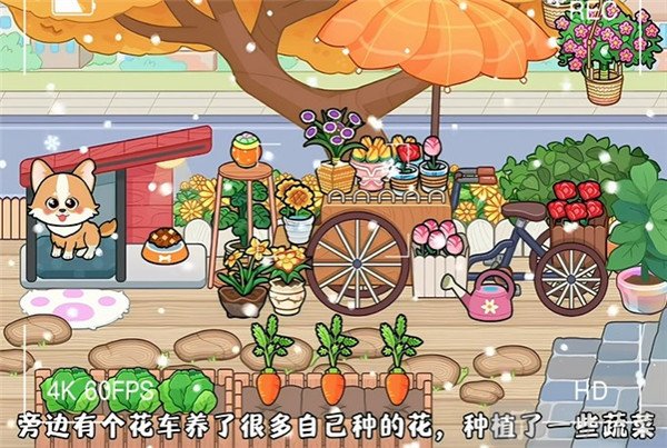 奇妙创意世界