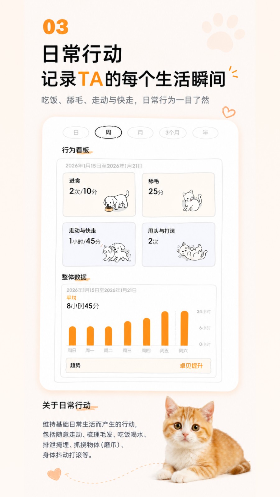 咕噜宠物