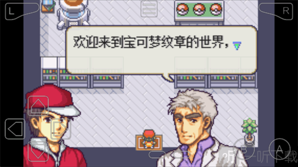宝可梦纹章汉化版进入游戏游玩体验画面