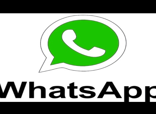 whatsapp语音转文字 whatsapp语音如何转化成文字