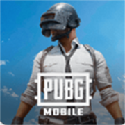怕不鸡pubg