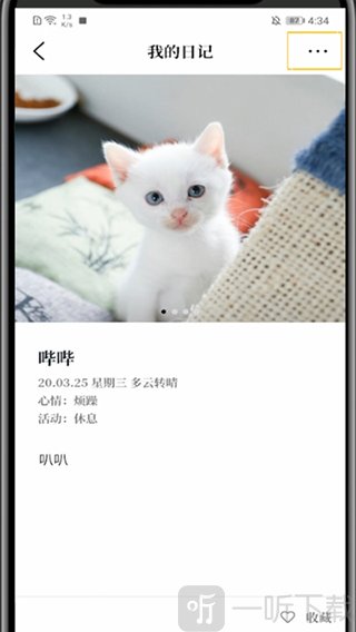 日记详情界面