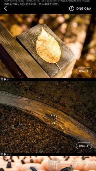 滤镜君LR滤镜预设详情