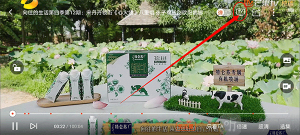 Bind app打开芒果TV