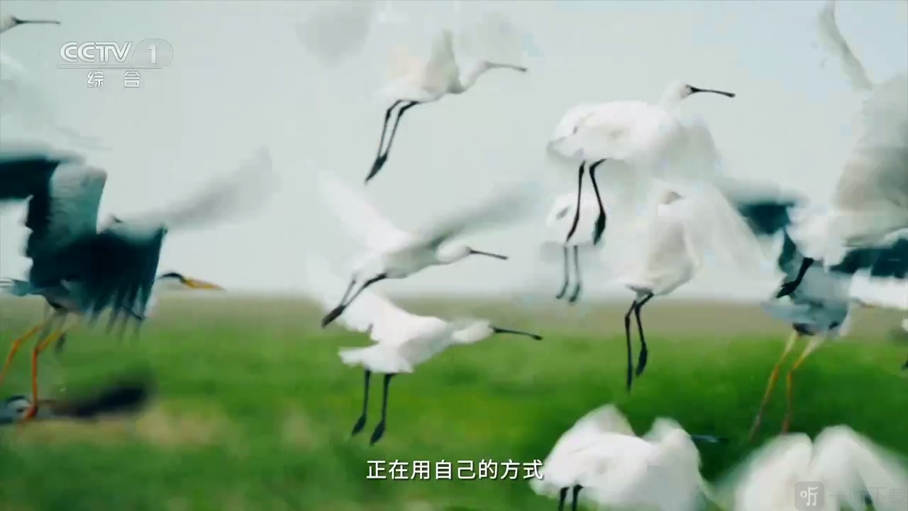 赛雷TV开启全屏播放教程