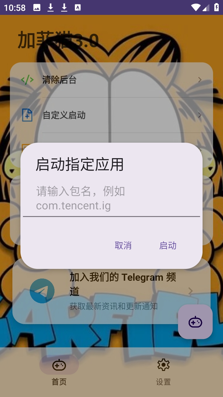 加菲猫3.0自定义启动文件