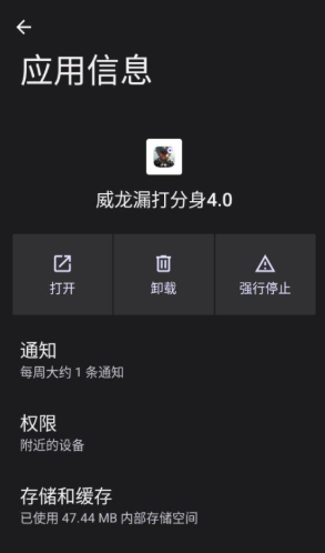 威龙漏打分身