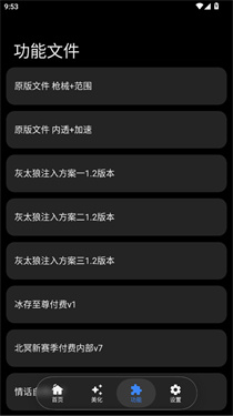 LK自动注入美化文件
