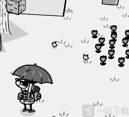 时间摄影冒险Homelanda家园鸟位置