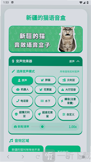 新疆的猫语音盒延迟播放设置教程