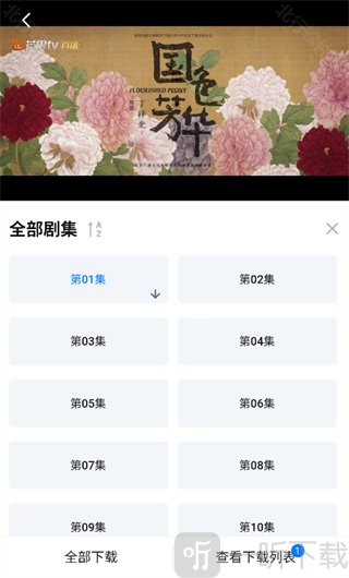 电视剧剧集下载选择页面