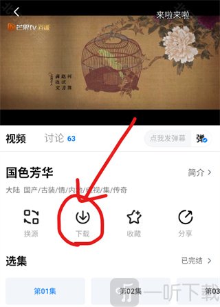 电视剧播放页面下载按钮