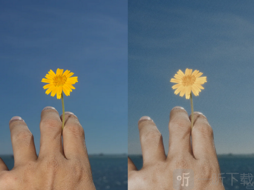 ColorBy导入参考图片
