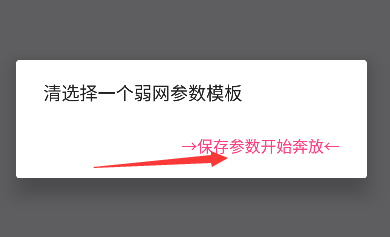 金砖弱网辅助器网络配置