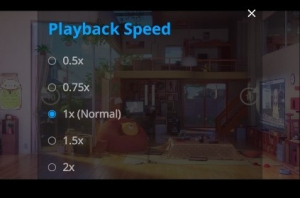 realplayer