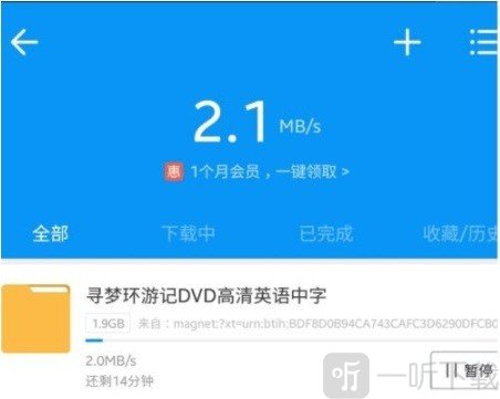 磁力猫3.0链接调用迅雷教程