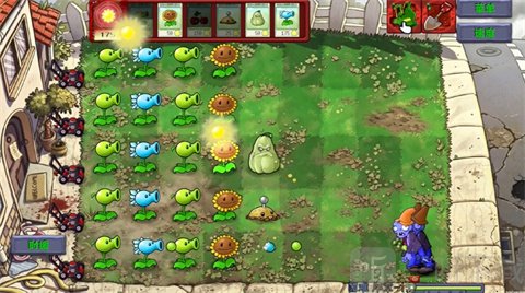 植物大战僵尸恐怖版狂尸 植物大战僵尸恐怖版狂尸