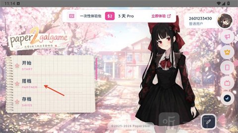 Paper2Gal搭档选项