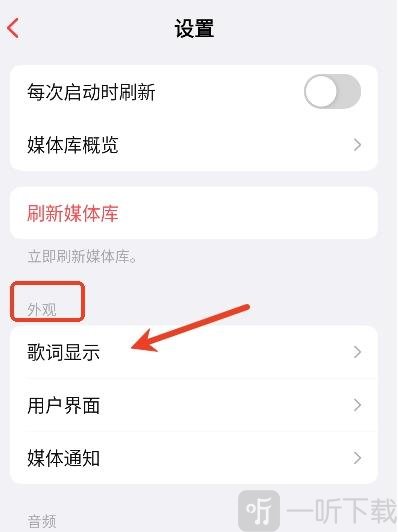 Flamingo音乐播放器设置外观显示选项