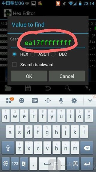 Hex Editor查看搜索结果