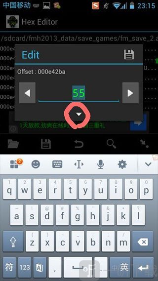 Hex Editor数据查看选项