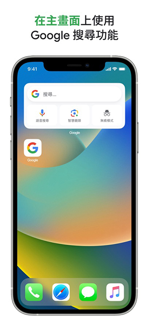 Google Search