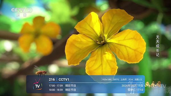 电视家直播TV版2026下载-电视家直播最新版下载电视盒子版v1.3.7.3_2026_0520
