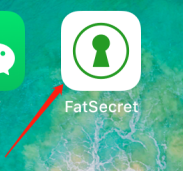 FatSecret app主界面