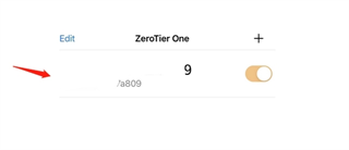 zerotier one网络ID开启状态
