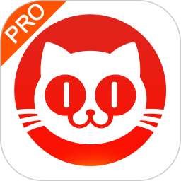 猫眼票房实时