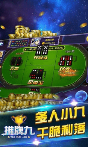 推牌9游戏安卓版