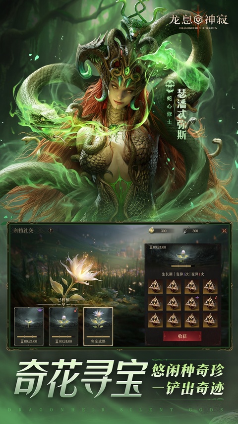 代号Dragon