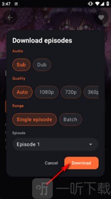 AniDroid选择下载格式与清晰度