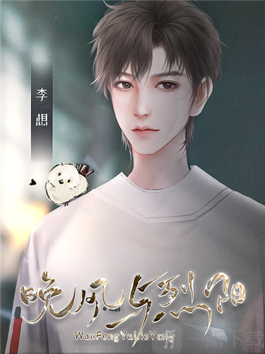 晚风与烈阳李想立绘