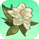 小城茉莉中文版